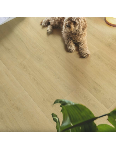 Capture - Chêne naturel brossé - Sols stratifiés - QUICK STEP