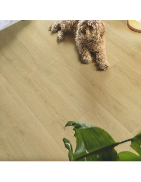 Capture - Chêne naturel brossé - Sols stratifiés - QUICK STEP