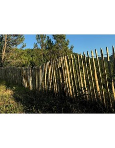 Ganivelle châtaignier non traitée 1 m / rouleau de 5 ml