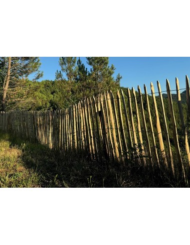 Ganivelle châtaignier non traitée 1 m / rouleau de 5 ml