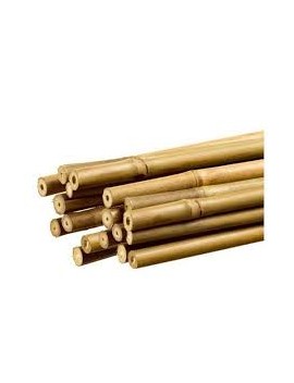 Tuteur en bambou de 90 cm