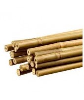 Tuteur bambou 90 cm