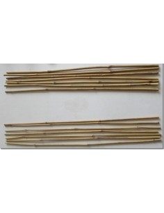 Tuteur bambou 1,20 m 2