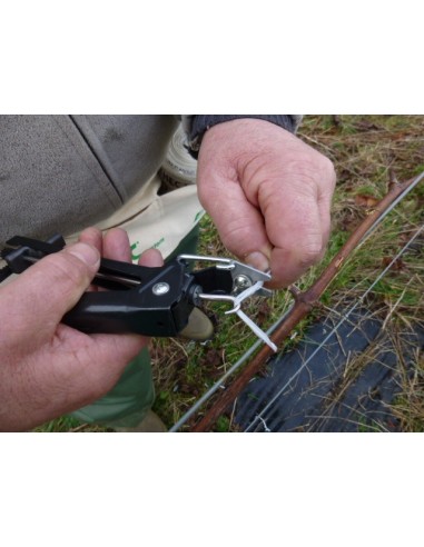 Pince à lier Exbanor