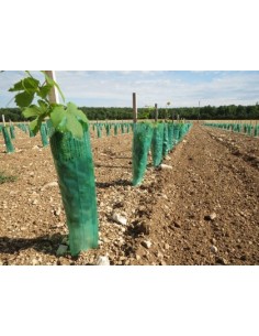 Gaine double protection herbicide 2