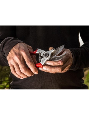 Sécateur Felco 4