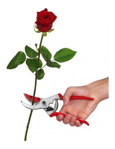 Sécateur Felco 4 CUT & HOLD 2