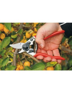 Sécateur Felco 6 2