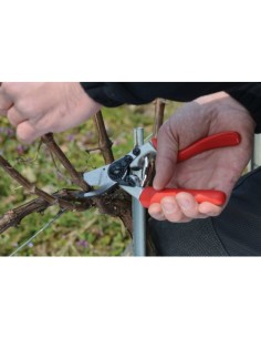 Sécateur Felco 7 2