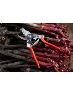 Sécateur Felco 14 petite main 2