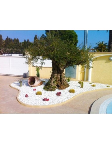 Galet Marbre Blanc pur 10-20 Sac de 20kg