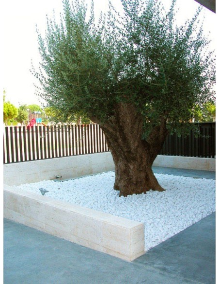 Galet Marbre Blanc pur 10-20 Sac de 20kg