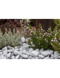 Galet Granit 25-50 Sac de 20kg 2