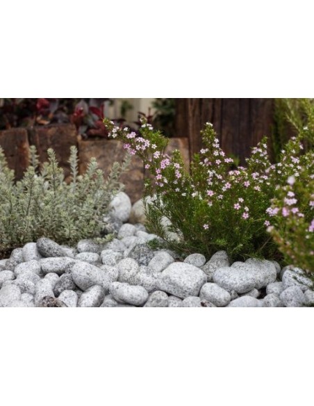 Galet Granit 25-50 Sac de 20kg