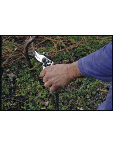 Sécateur Felco 19 Système de pulvérisation - 210 mm - 340g