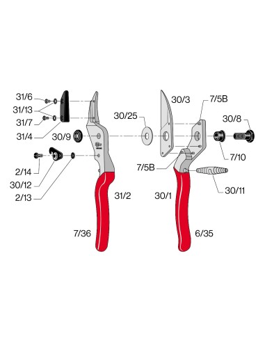 Vis pour enclume 6mm pour F31