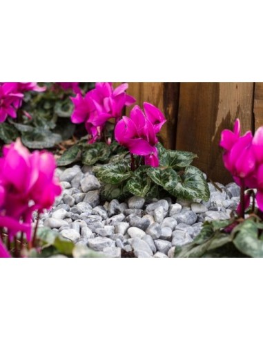 GALET MARBRE GRIS BLEUTE