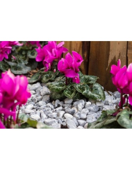 GALET MARBRE GRIS BLEUTE