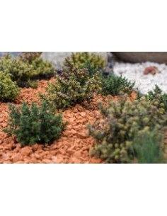 Gravier brique pilée 4-12 sac de 19 Kg 2