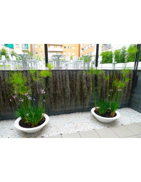 GRAVIER MARBRE BLANC - TAILLE 7-13