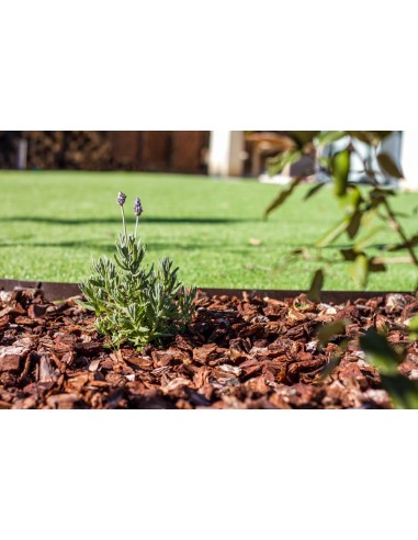 Ecorce de pin extra 20-40 Sac de 50L