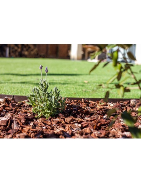 Ecorce de pin extra 20-40 Sac de 50L