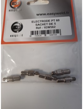 Electrode pt 60