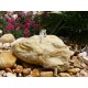 Galet marbre citron 25-40 sac de 20kg